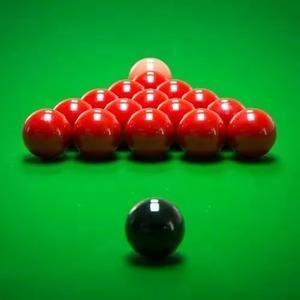 莱斯特城球迷赴意大利观战瓦尔迪比赛并合影