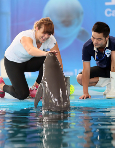 是技战术上 是技战术上